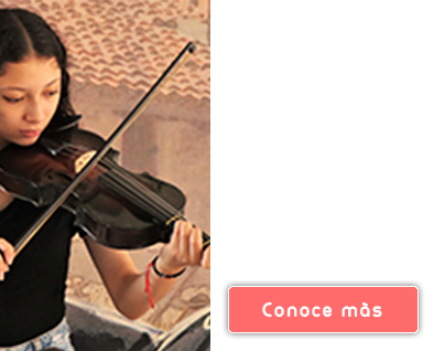 seg-cur-violin